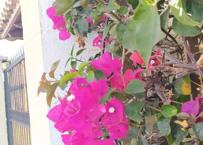 Magnifica Happy Holidays Con Piscina En Gigantes Villa Puerto de Santiago (Tenerife)